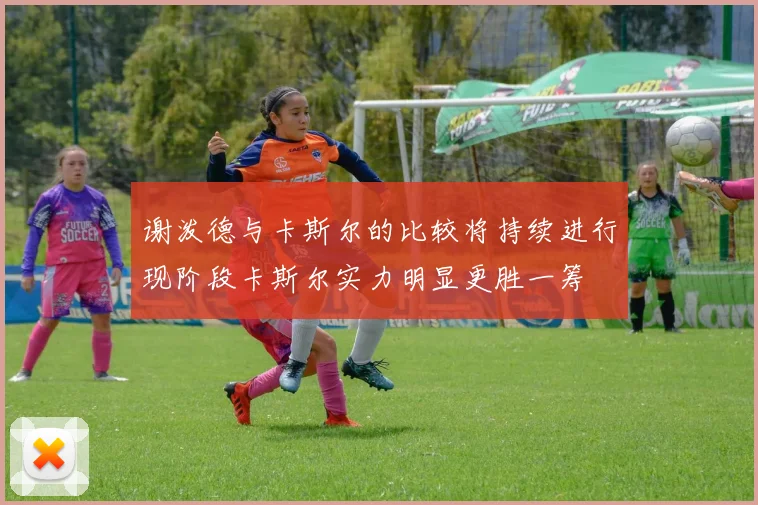 谢泼德与卡斯尔的比较将持续进行现阶段卡斯尔实力明显更胜一筹